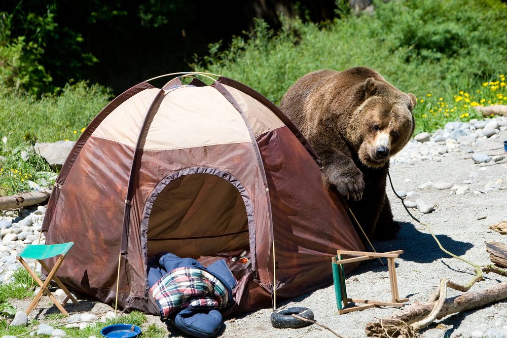 Ne ngligez jamais l'emplacement en camping.