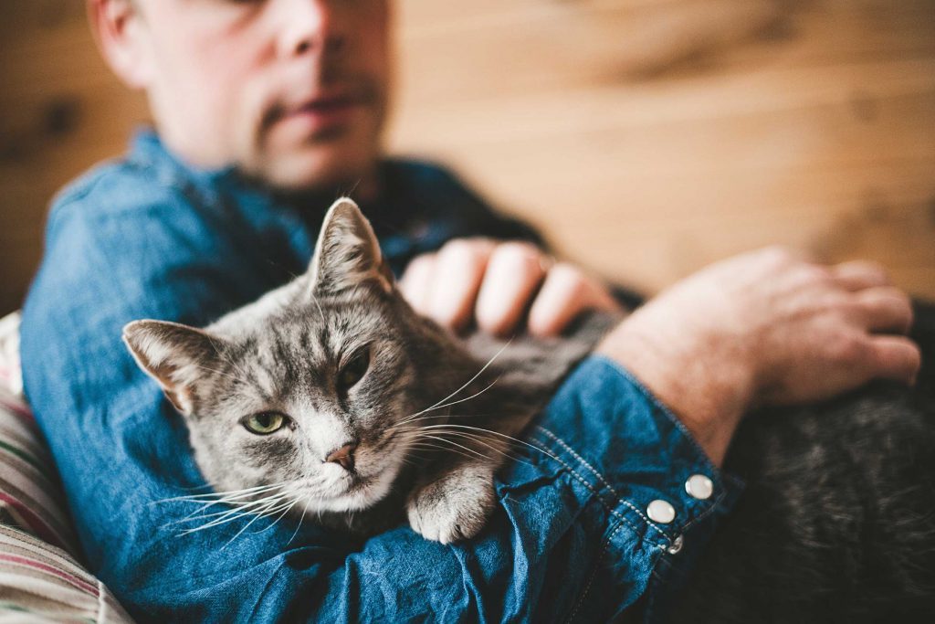 14 Choses Sur Le Comportement Du Chat Pour Mieux Le Comprendre