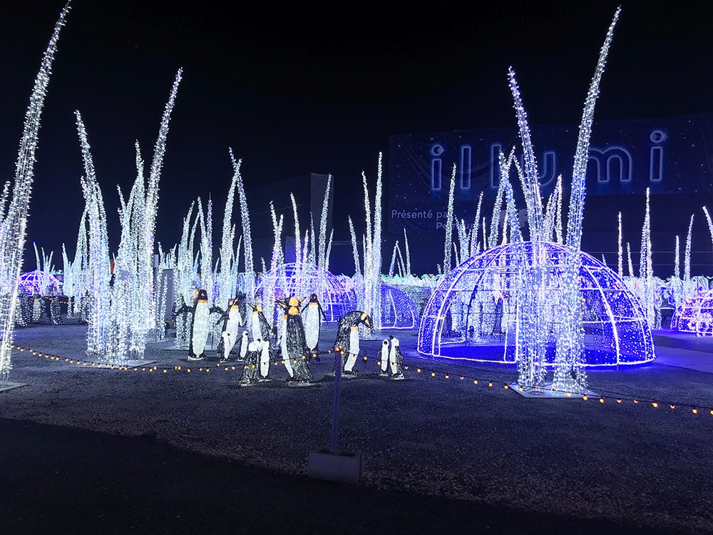 Illumi – La Féérie des Lumières par Cavalia présentée à Laval jusqu'en  janvier, Photos