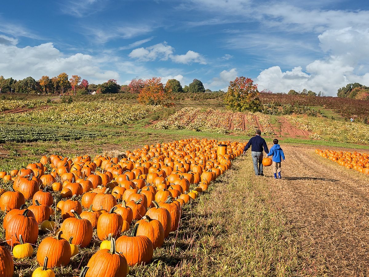 15 activités pour l’automne