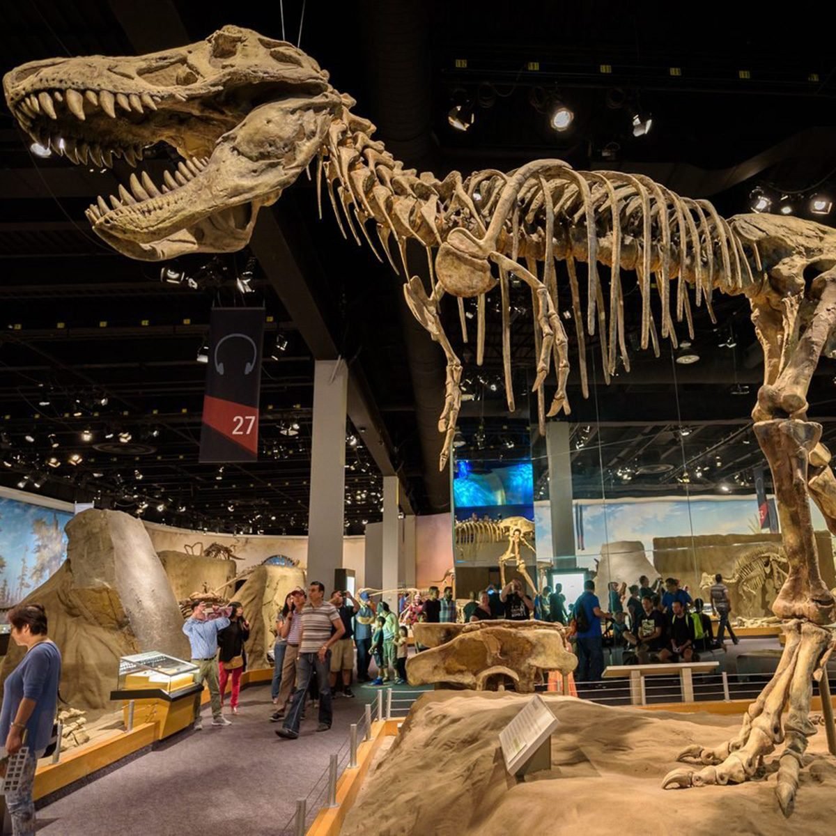 Des ossements de dinosaure découverts lors d'un tour guidé sur les fossiles